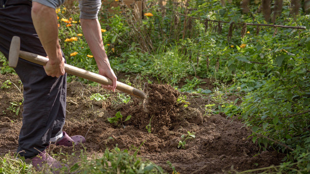 Garten umgraben Zeitpunkt, Geräte und Anleitung Utopia.de