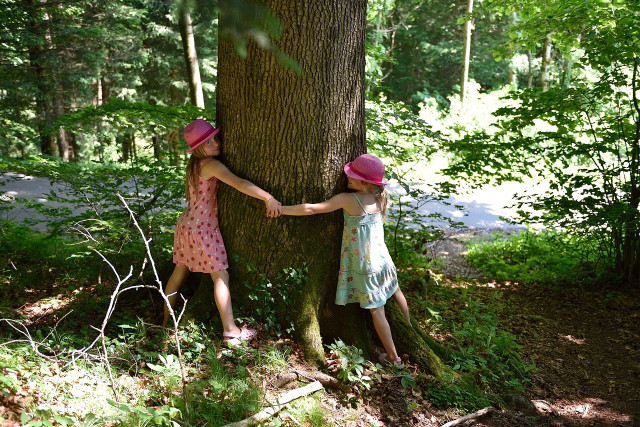 Hugging a tree is now also considered a proven anti-stress method in the Western world.