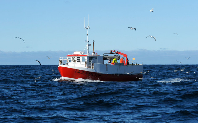 Fischerboot-Island_1280x800px_web nachhaltiger Fisch Wild Ocean