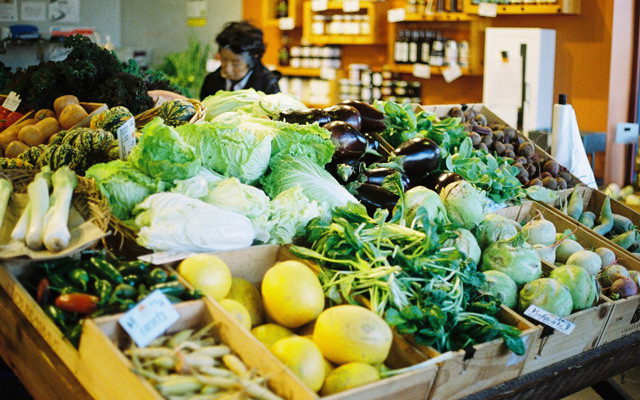 Triodos_Plastikfrei_sylvia-zhou-1294037-unsplash_plastikfrei_einkaufen Triodos Plastikfrei leben