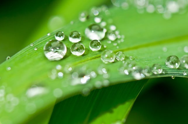 regenwasser-ist-frisch-destilliert-und-leicht-saue-cc0-pixabay-andre_rau-190506_download Regenwasser ist frisch destilliert und leicht sauer.