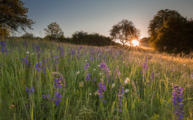 Nachhaltig Reisen Deutschland Saarland Nachhaltig Reisen Deutschland Saarland