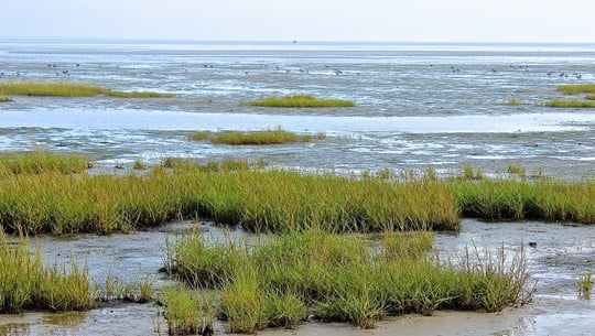 ebbe-und-flut-cc0pixabaykhfalk-190629 ebbe und flut