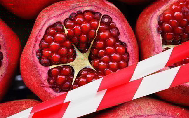 obst pestizide 2021 granatapfel dreckiges dutzend obst pestizide 2021 granatapfel dreckiges dutzend