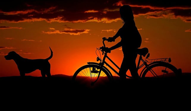 abendspaziergang-vor-dem-schlafengehen-cc0-pixabay-cocoparisienne-171005_download Ein Abendspaziergang vor dem Schlafengehen kann beim Einschlafen helfen.