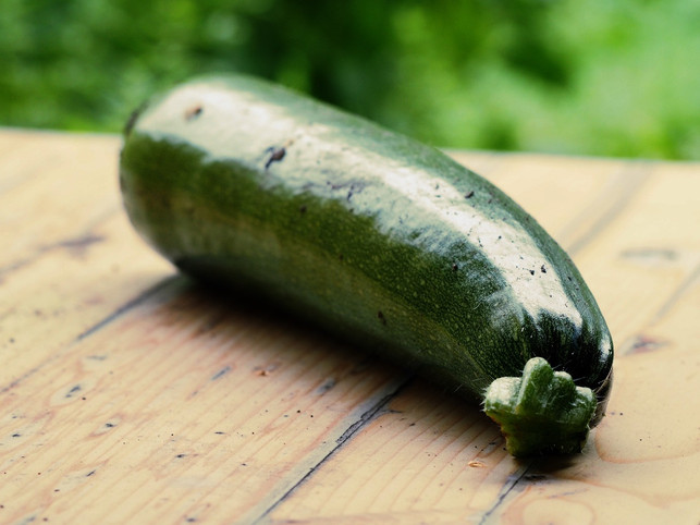 im-huni-sind-die-ersten-zucchini-reif-und-lassen-s-cc0-pixabay-holgersfotografie-230519_download Im Juni sind die ersten Zucchini reif und lassen sich hervorragend auf dem Grill zubereiten.