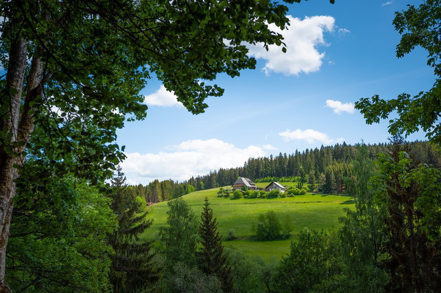 reiseziel-schwarzwald-idylle-ganz-natuerlich-cc0-pixabay-blickpixel-220520_download Der idyllische Schwarzwald ist ein perfektes Reiseziel für nachhaltigen Urlaub in Deutschland.