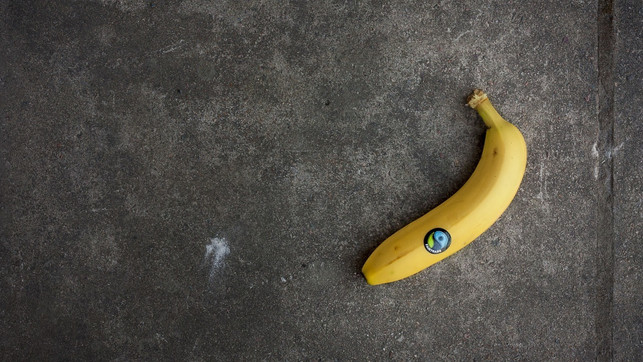 die-banane-ist-ein-klassiker-unter-den-fair-gehand-cc0-pixabay-isaacfryxelius-181026_download Die Banane ist ein Klassiker unter den fair gehandelten Produkten.