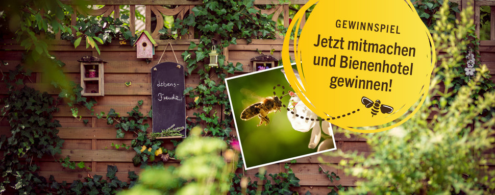 toom gewinnspiel bienenhotel gewinnen bienenschutz bienenfreundliche Pflanzen