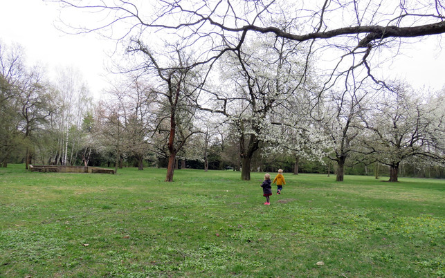spiele-fuer-draussen-p-obstbaeume-170405-1280x800 Spiele für draußen, Spiele für Kinder, Obstbäume
