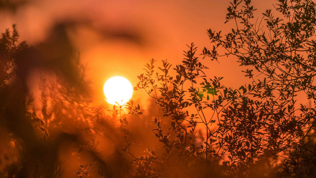 Wie mit "End of Summer Sadness" umgehen? Experte schlägt 5 wissenschaftlich erprobte Strategien vor Wie mit "End of Summer Sadness" umgehen? Experte schlägt 5 wissenschaftlich erprobte Strategien vor