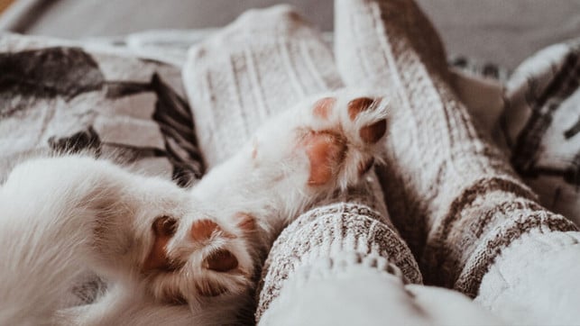 Weltverbesserer Social Cocooning Stubenhocker Weltverbesserer Social Cocooning Stubenhocker