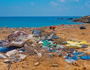 Ozeanplastik, PET-Flaschen oder Fischernetze sind recycelbar.