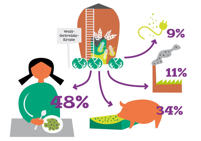 landgrabbing-z-fian-grafik-180226-1280x900 Weltgetreideernte Grafik FIAN