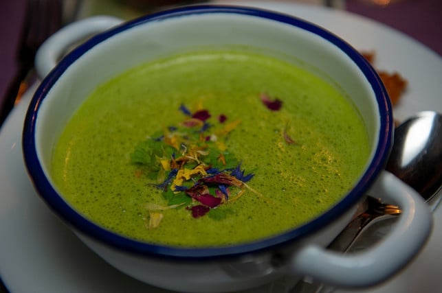 vor-allem-zu-ostern-ist-kerbelsuppe-sehr-beliebt-cc0-pixabay-robbyfo-190226_download Vor allem zu Ostern ist Kerbelsuppe sehr beliebt.
