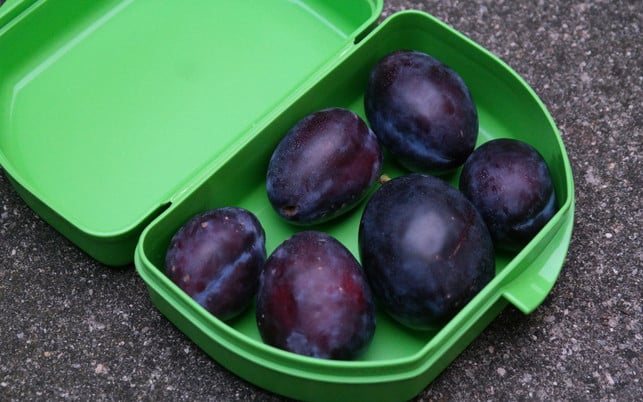 erdoel-produkte-pb-brotdose-170808-1280x800 Erdölprodukte Plastikdose