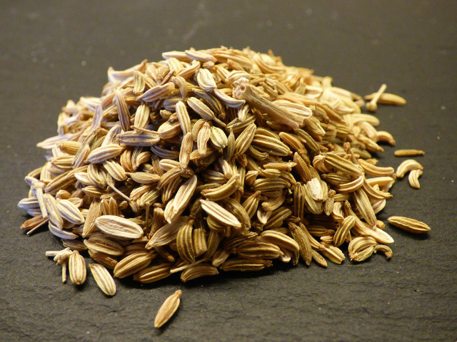 Fennel oil is extracted from fennel seeds.