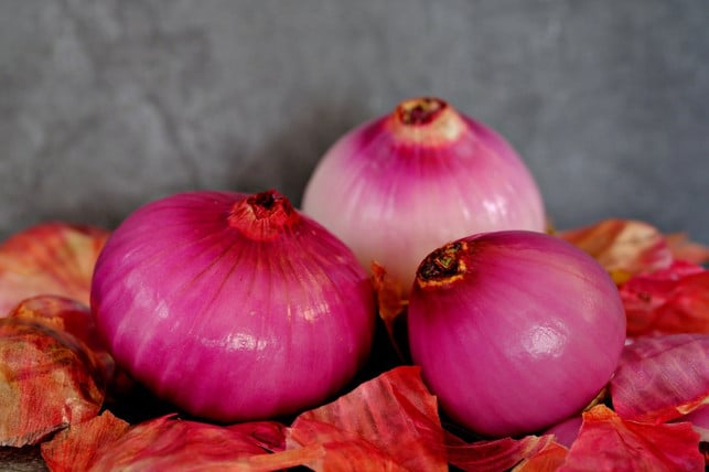 zwiebelschalen-sind-nuetzlich-im-garten-stelle-dei-cc0-pixabay-ignartonosbg-230623_download Zwiebelschalen sind nützlich im Garten: Stelle deine eigene Zwiebeljauche oder einen Tee aus den Schalen her.