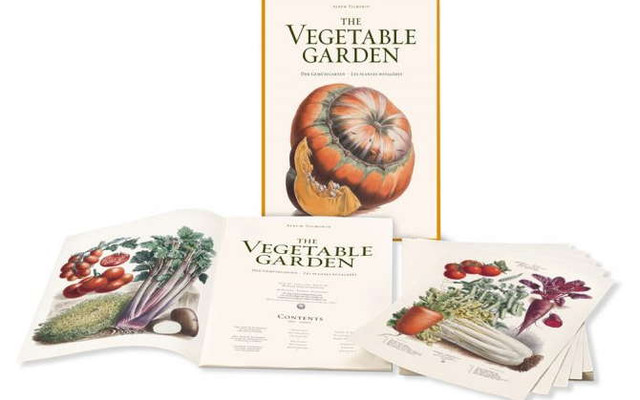 Dicker „Schinken“ mit Gemüse-Kunst: das Buch „Vegetable Garden“_4