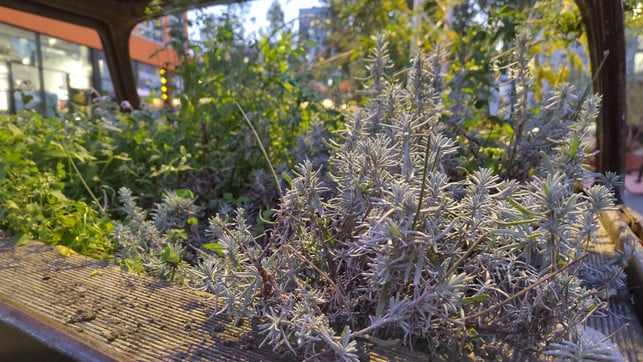 Fairphone5Test-FotoSchwachesLicht-u-michaelschlump-231030-1920x1280 Fairphone 5 Testbild