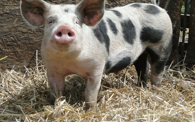 Gnadenlose Transparenz: Entscheiden Sie sich!_9