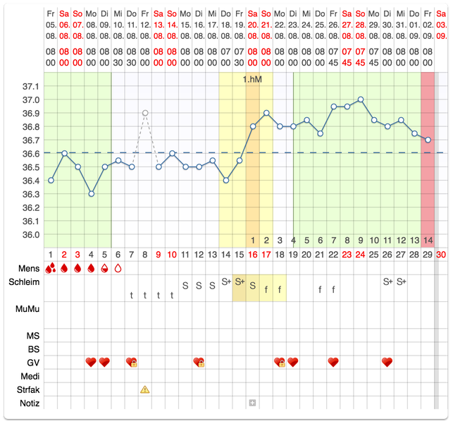 ein-beispiel-eines-zyklus-blatts-von-mynfp-mynfp-screenshot-190308_download Ein Beispiel eines Zyklus-Blatts von myNFP