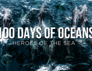 Film: 100 Days of Oceans - Crowdfunding