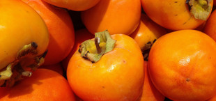 Kaki, Sharonfrucht, Persimone Unterschiede