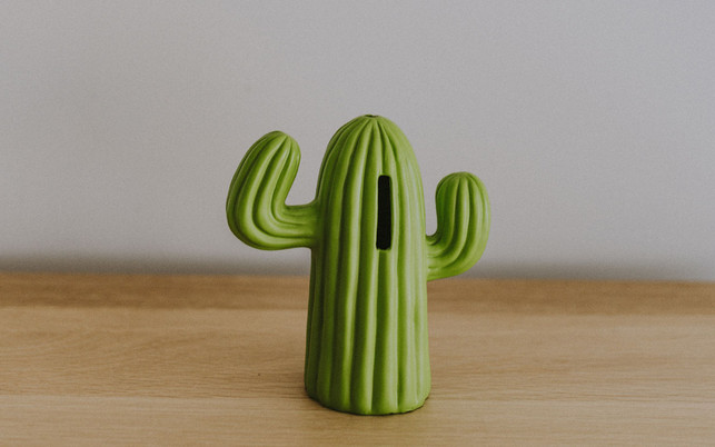 Triodos-Bank-Sparkaktus-Annie-Sprattr-Unsplash-1280x800px Sparen für Kinder, Sinnvoll sparen Triodos Bank