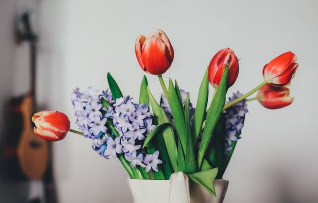 ein-tulpenstrauss-mit-hyazinthen-bringt-farbe-in-di-cc0-pixabay-anniespratt-191028_download Ein Tulpenstrauß mit Hyazinthen bringt Farbe in die Wohnung.