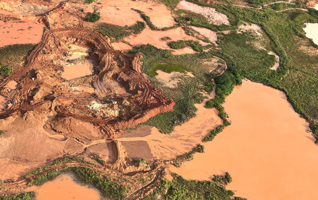 Beliebte Geldanlage in Krisenzeiten: Der Gold-Boom hat auch eine Schattenseite Gold Regenwald