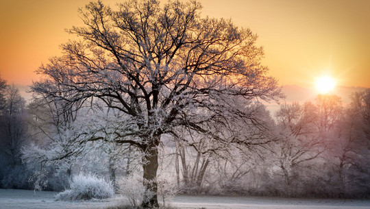 sonne-tanken-cc0--pixabay--fietzfotos-251127 Sonne tanken.