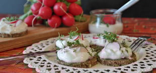 kräuterquark selber machen