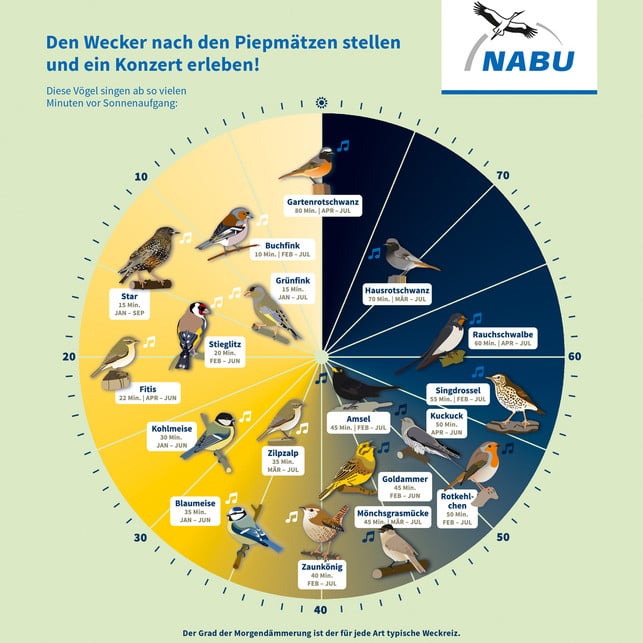 die-nabu-vogeluhr-foto-a-hrefhttpswwwnabudetiere-und-pflan-180412_download Die NABU-Vogeluhr zeigt dir, wann welche Vögel singen.
