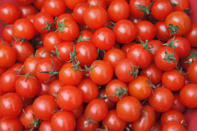 einige-tomatensorten-wachsen-schneller-als-andere-cc0--pixabay--snowday83-250626_download Einige Tomatensorten wachsen schneller als andere.