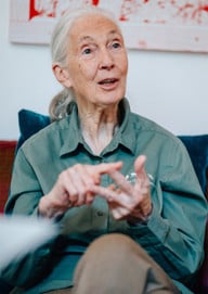 jane-goodall-1-u-190627 Jane Goodall Interview