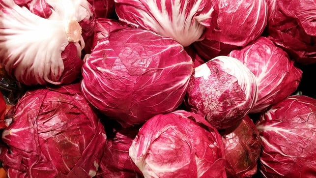 radicchio-ist-ein-typisch-italienischer-blattsalat-cc0-public-domain-pixabay-peter-facebook-171020_download Radicchio ist ein typisch italienischer Blattsalat.
