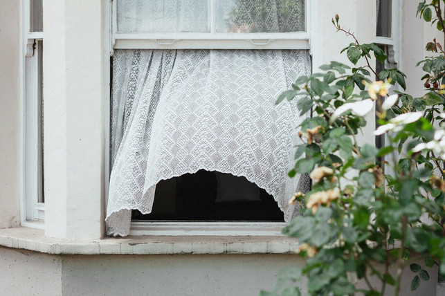 egal-ob-du-zimmerpflanzen-hast-oder-nicht-lueften-cc0-unsplash-alistair-macrobert-240303_download Egal ob du Zimmerpflanzen hast oder nicht: Lüften solltest du regelmäßig.