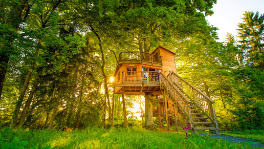 Ferienhof und Baumhaushotel Allgäu Ferienhof und Baumhaushotel Allgäu