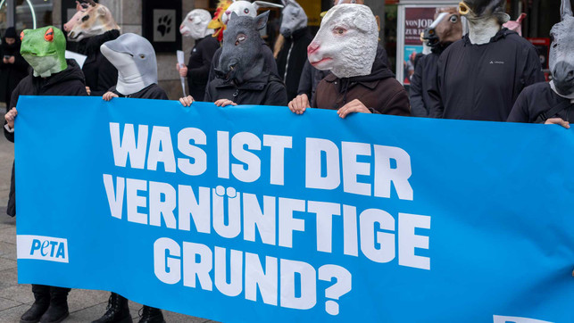 2024-09-16-Demo-Vernuenftiger-Grund-Stuttgart-2398-c-PETA-D_1920x1080px