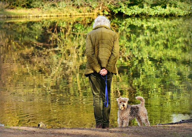 kriebelmueckenstiche-koennen-bei-hunden-starke-reakt-cc0-pixabay-mabelamber-220609_download Kriebelmückenstiche können bei Hunden starke Reaktionen hervorrufen.
