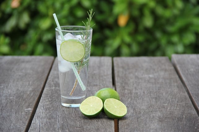 auch-rosmarin-kann-fuer-den-alkoholfreien-hugo-verw-cc0-pixabay-sgroene-240605_download Auch Rosmarin kann für den alkoholfreien Hugo verwendet werden.