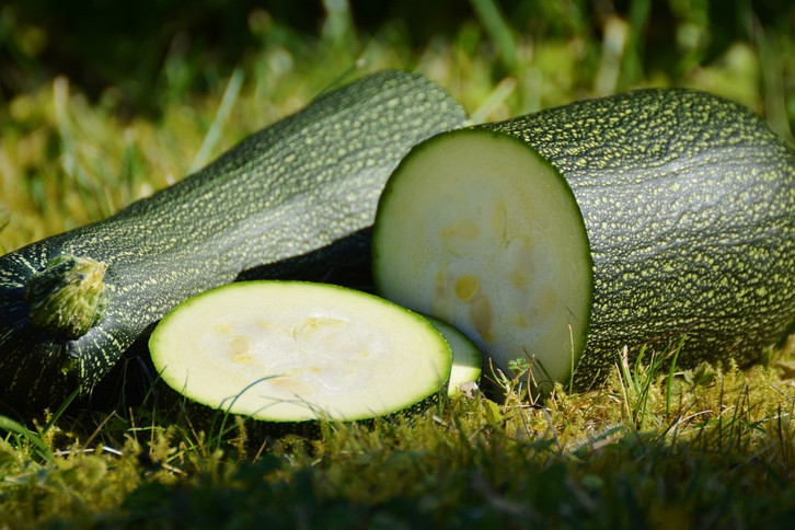 Zucchini haltbar machen: 5 Methoden