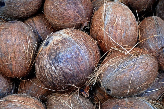 kokoserde-besteht-aus-getrockneten-kokos-fasern-cc0-pixabay-piro4d-220523_download Kokoserde besteht aus getrockneten Kokos-Fasern.