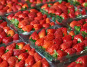 6 gute Gründe, warum du auf Früherdbeeren lieber verzichten solltest
