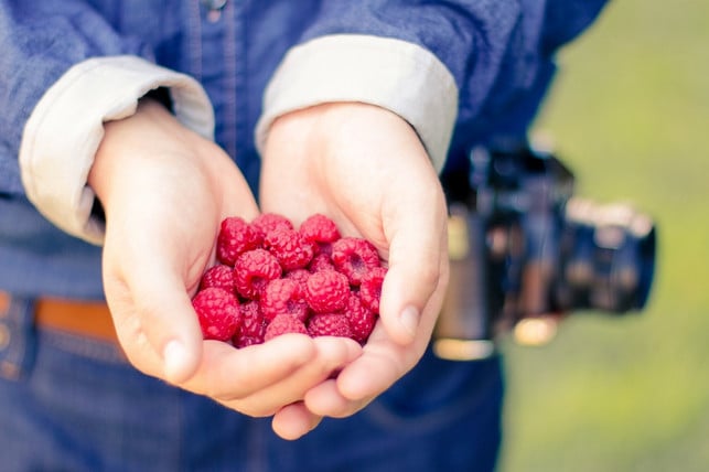 eine-handvoll-himbeeren-als-gesunder-snack-cc0-pixabay-pexels-190422_download Eine Handvoll Himbeeren eignet sich als gesunder Snack.