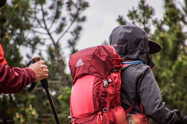 gehst-du-dran-deinen-wanderrucksack-zu-packen-koe-cc0-pixabay-rottonara-230212_download Gehst du dran, deinen Wanderrucksack zu packen, können Packtaschen für bessere Organisation sorgen.