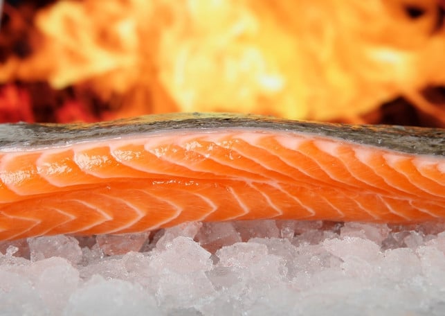 omega-3-fettsaeuren-nehmen-viele-menschen-vor-allem-cc0-pixabay-shutterbug75-230908_download Kritische Nährstoffe bei veganer Ernährung: Omega-3-Fettsäuren nehmen viele Menschen vor allem über fettigen Fisch auf.