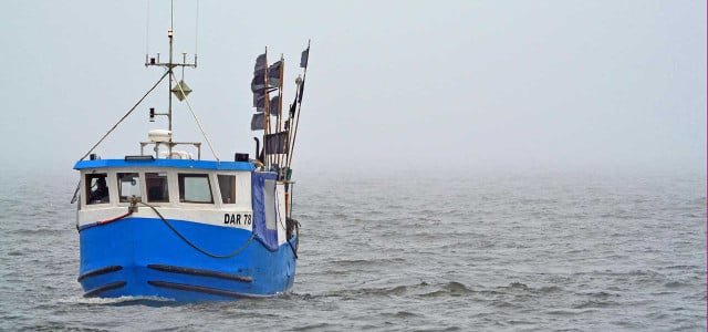 Strengere Fischfangregeln in der Ostsee: Warum das keine so gute Nachricht ist