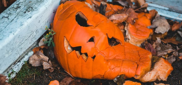 Nicht jeder Kürbis darf in den Biomüll: So entsorgst du Halloween-Doku richtig (Foto: CC0 / Unsplash - Erik Mclean) Halloween-Doku entsorgen